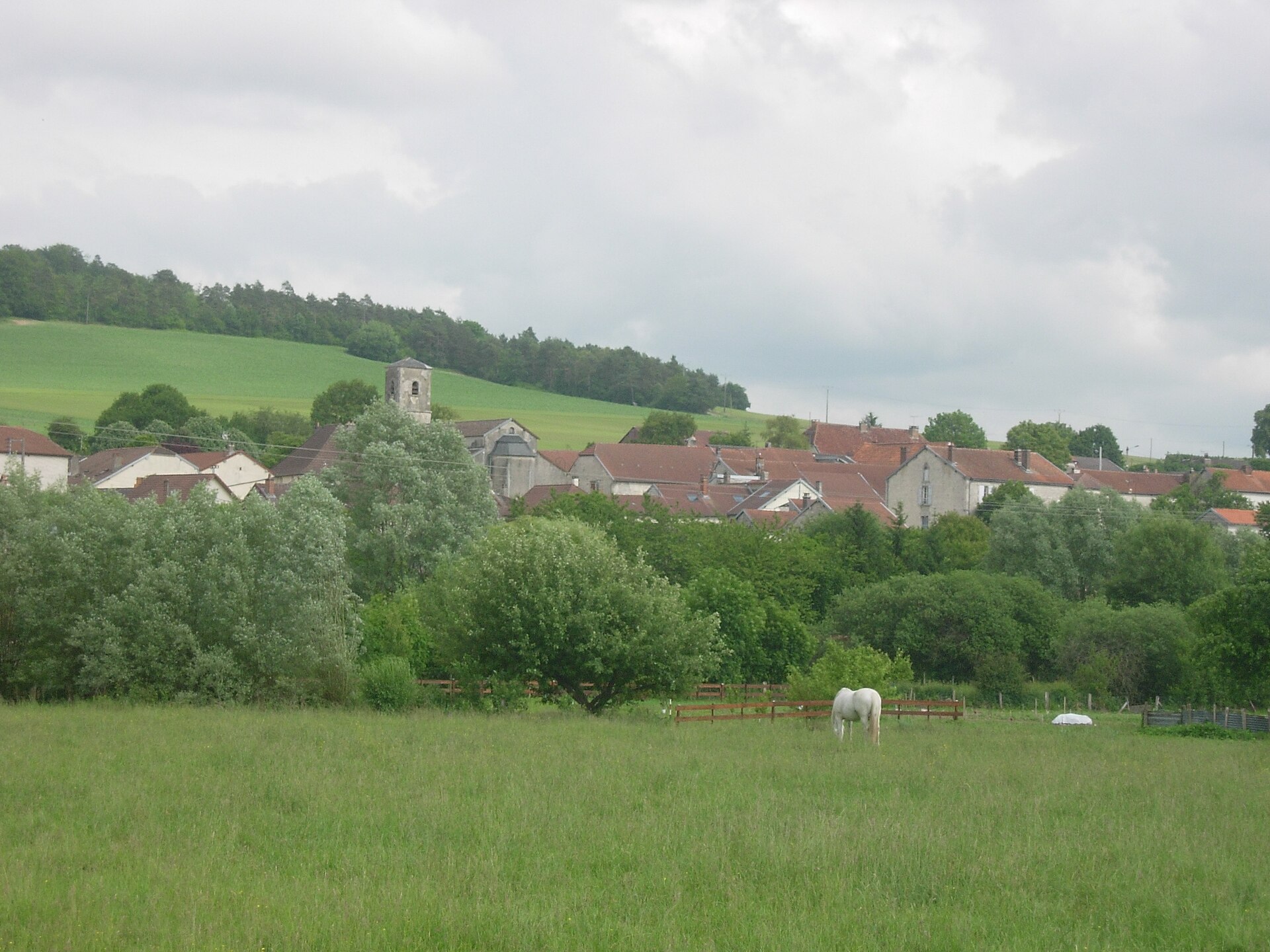 Vue générale de Juvancourt