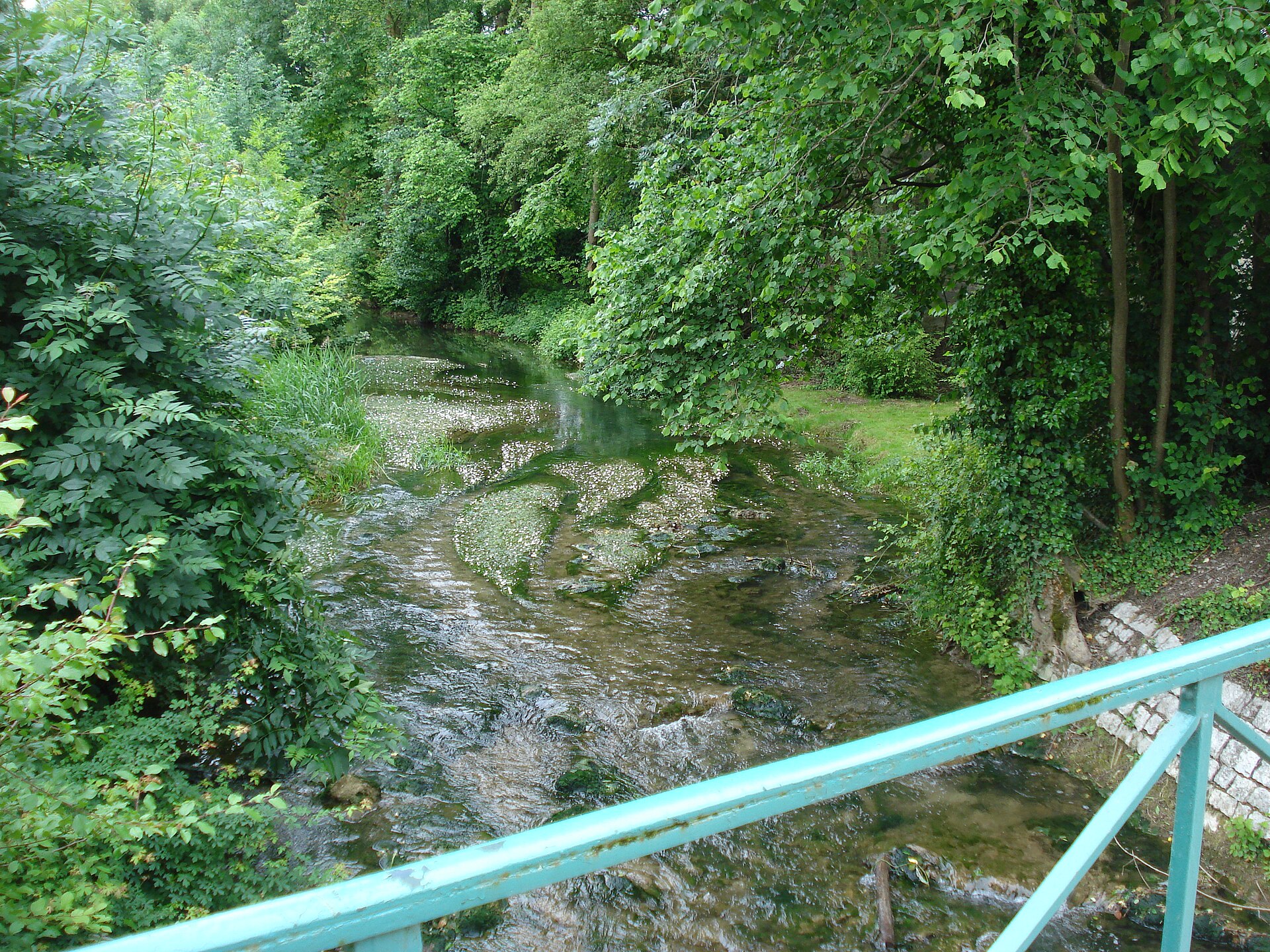 L'Arce à Merrey-sur-Arce (Aube,Fr)
