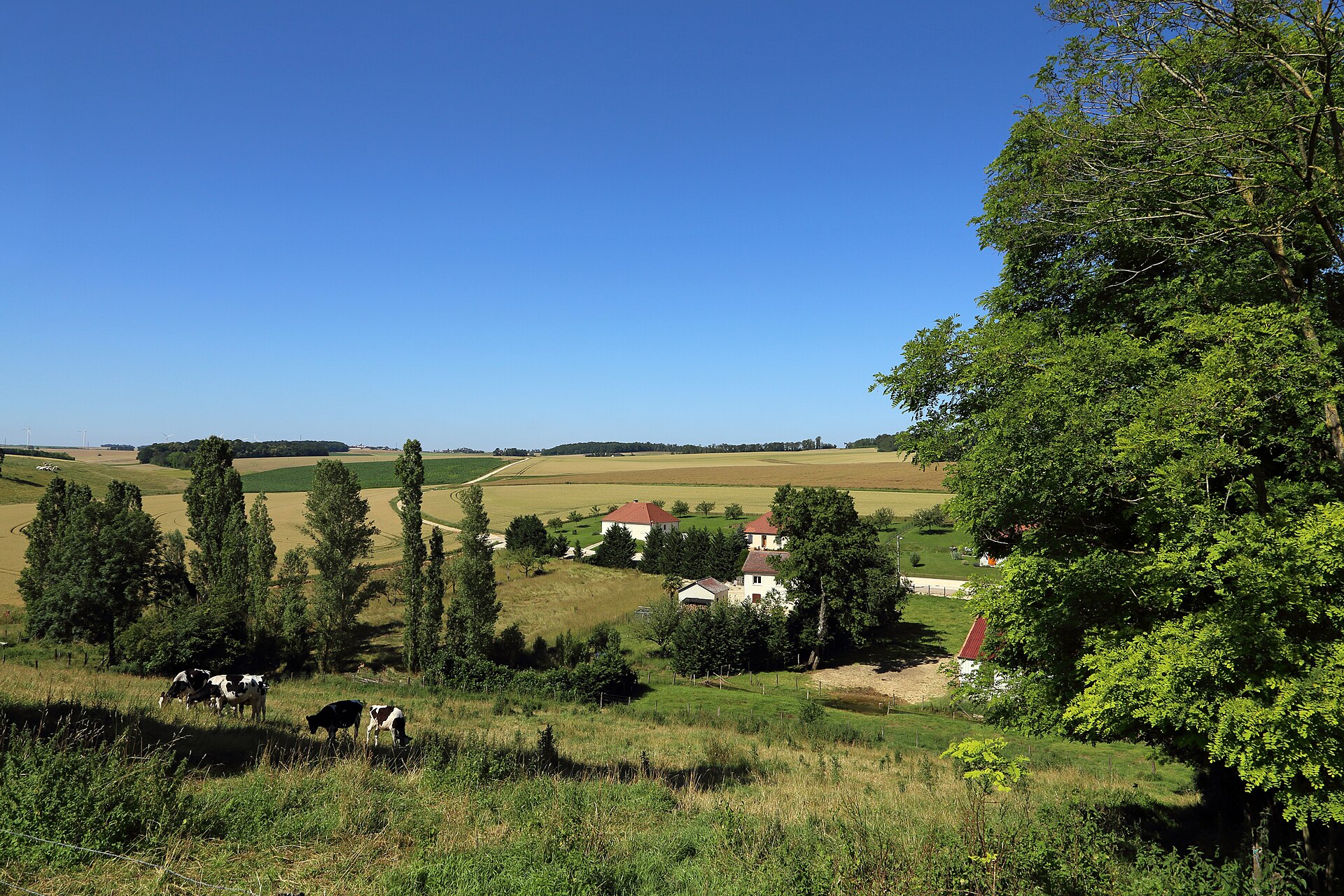 Puits-et-Nuisement (département de l'Aube, France) : paysage des environs du village du Puits