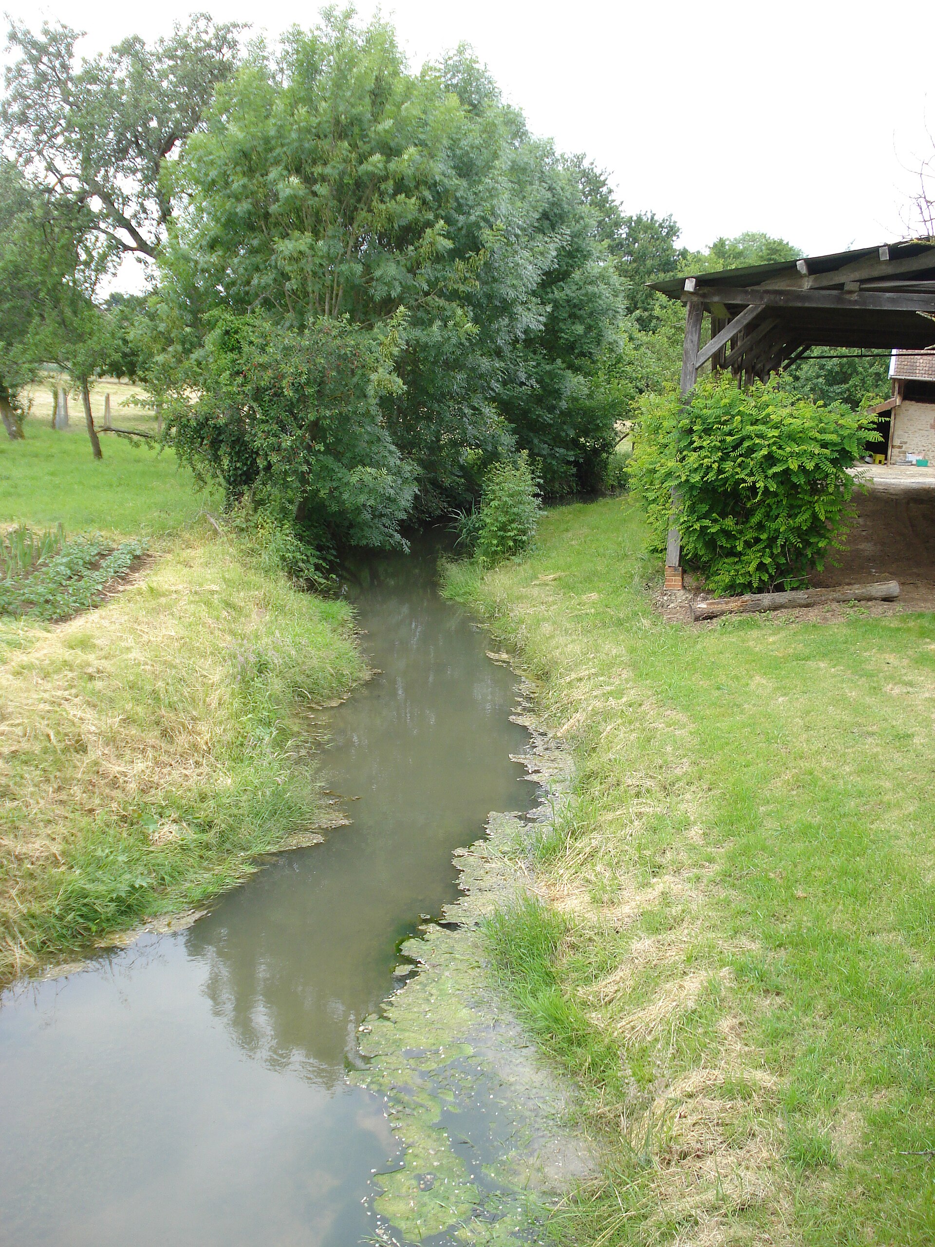 La Boderonne à Villy-en-Trodes
