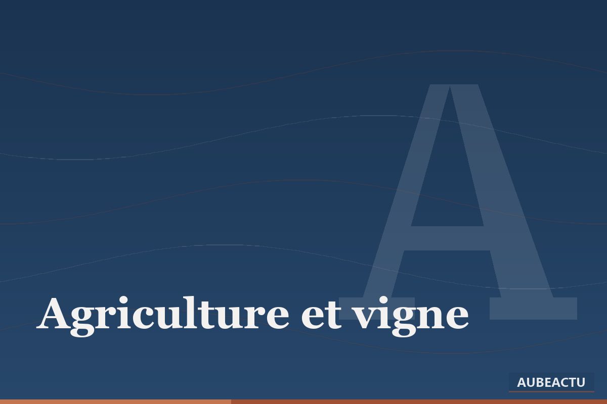Visuel de la rubrique Agriculture et viticulture
